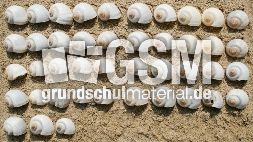 Schneckenhäuser-43.jpg